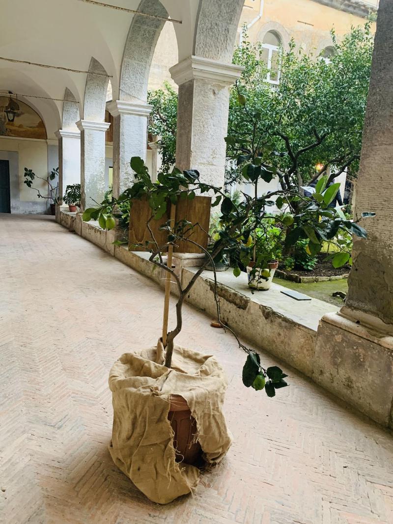 Relais Il Chiostro - Lobi