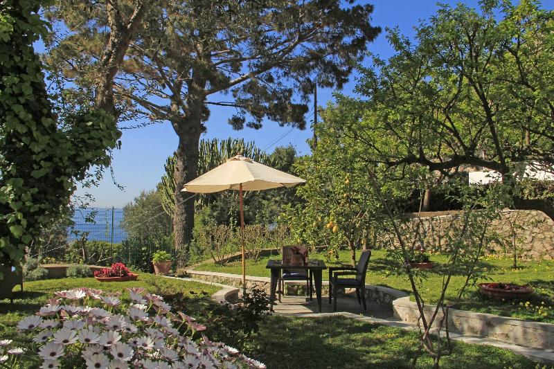 Casa Augusto - Genel