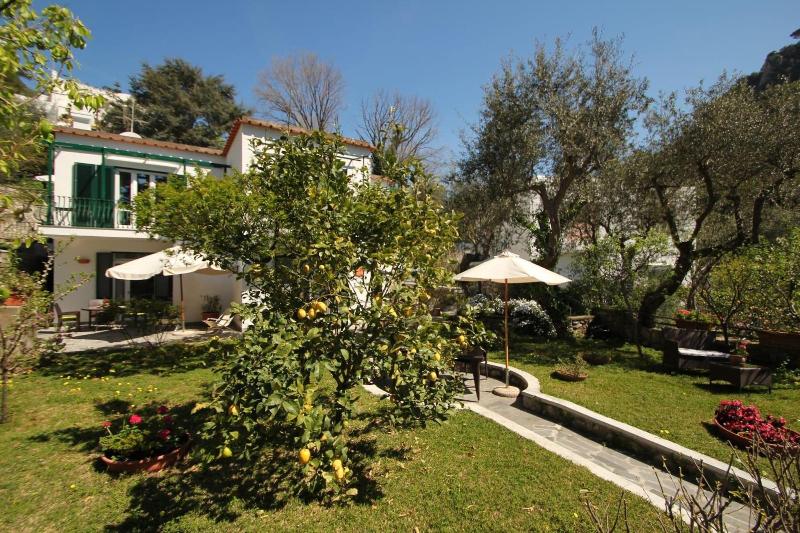Casa Augusto - Genel