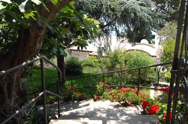 Casa Augusto - Genel