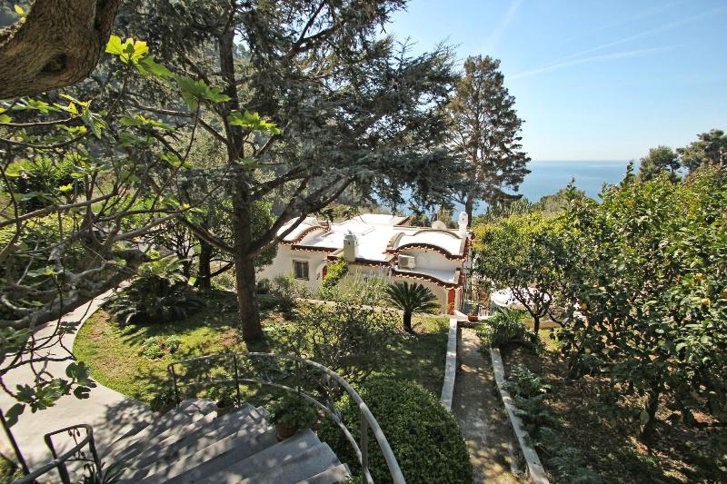 Casa Augusto - Genel