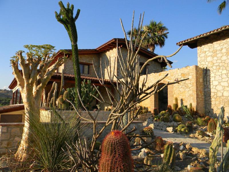 Relais Garden Cactus B&B - Aktivite