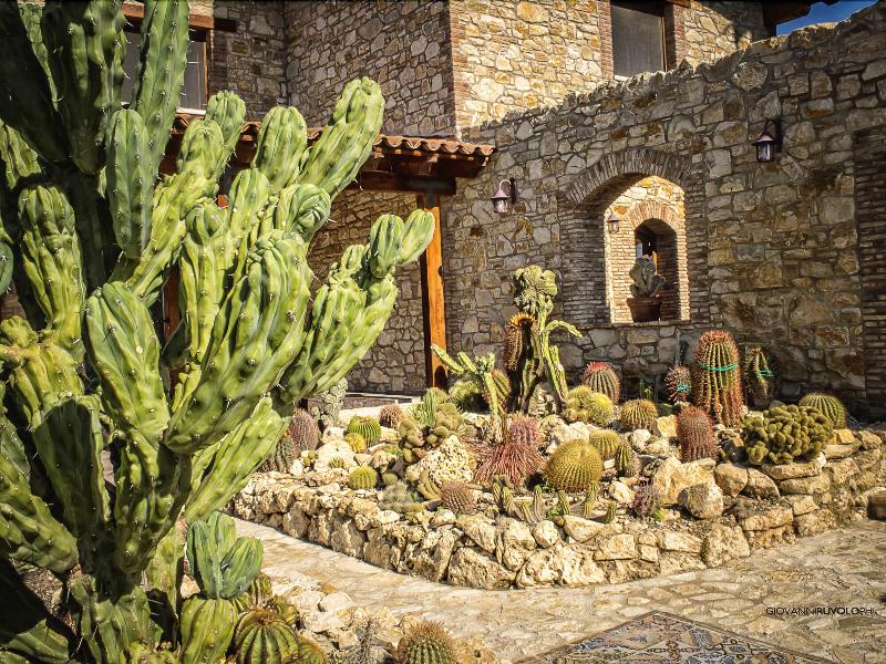 Relais Garden Cactus B&B - Genel