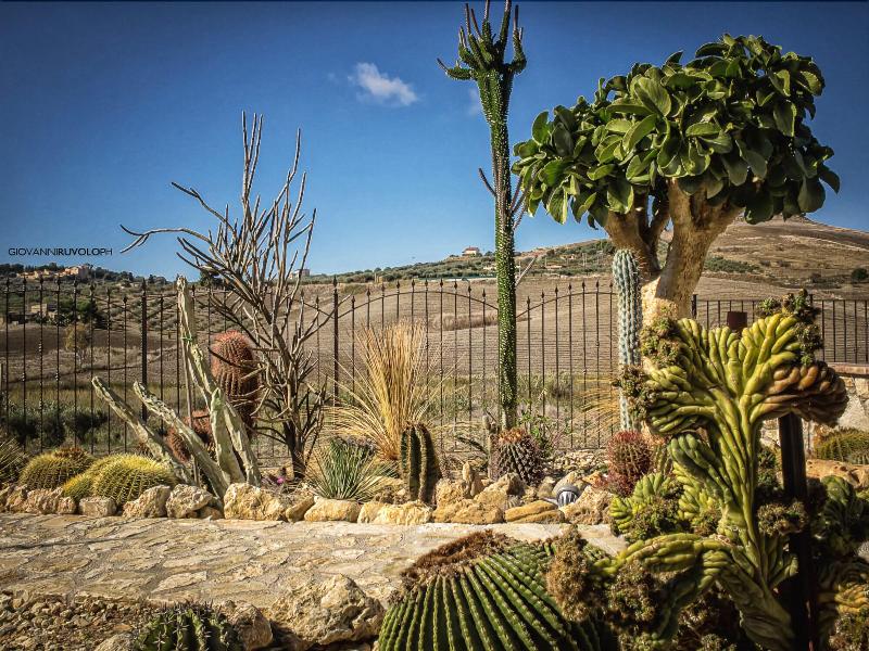 Relais Garden Cactus B&B - Genel