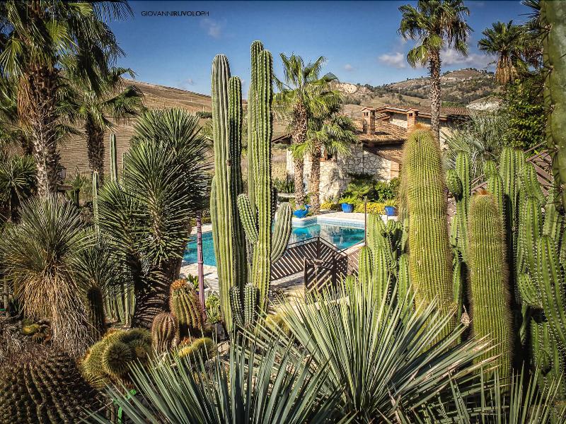Relais Garden Cactus B&B - Genel
