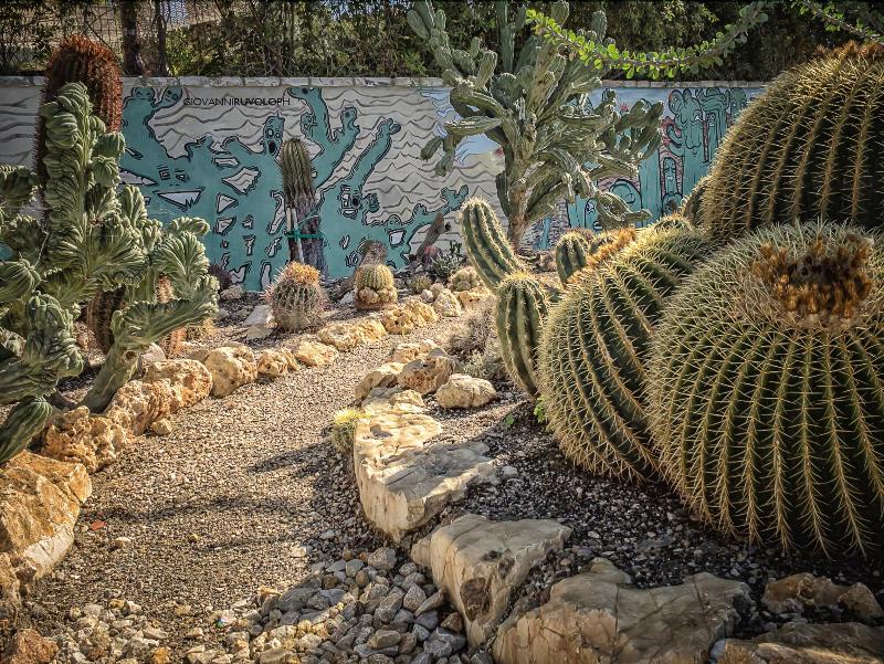 Relais Garden Cactus B&B - Genel