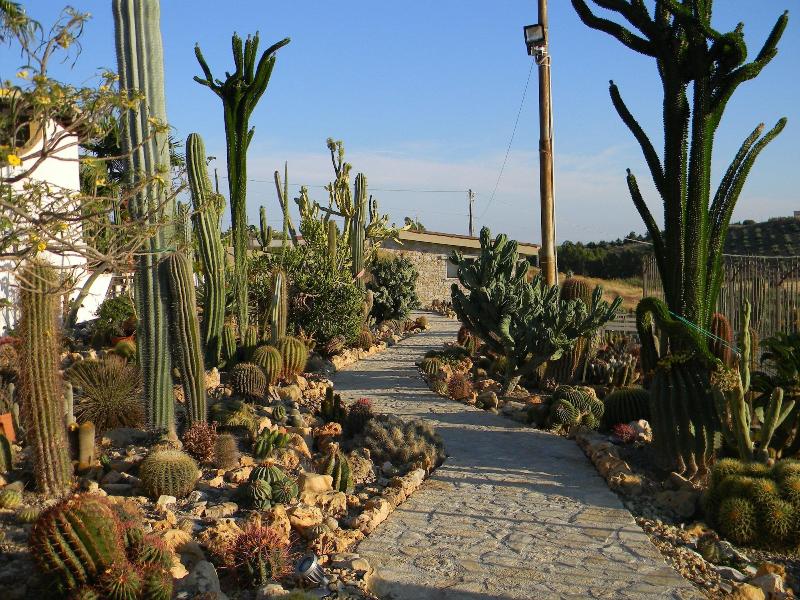 Relais Garden Cactus B&B - Genel