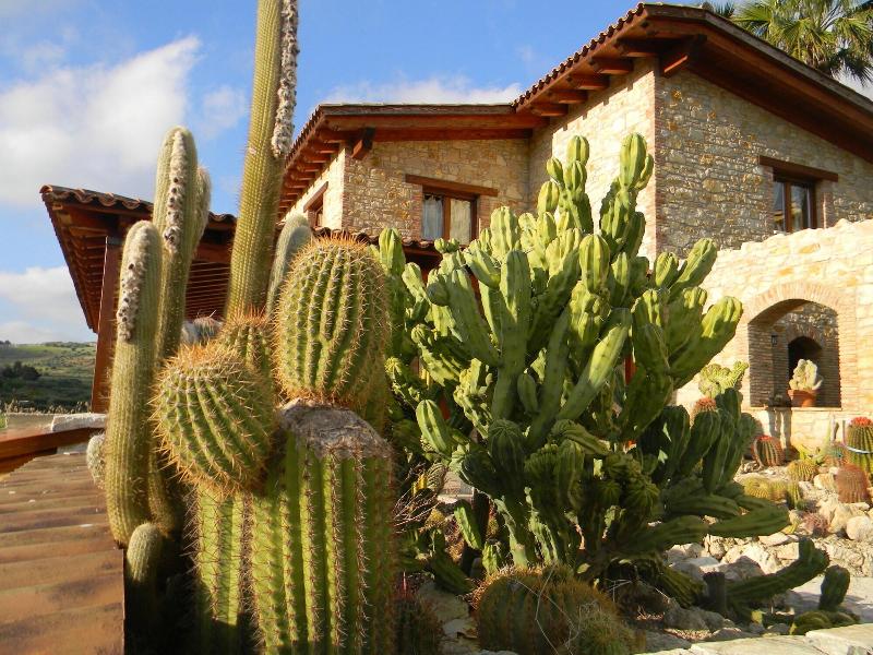 Relais Garden Cactus B&B - Genel