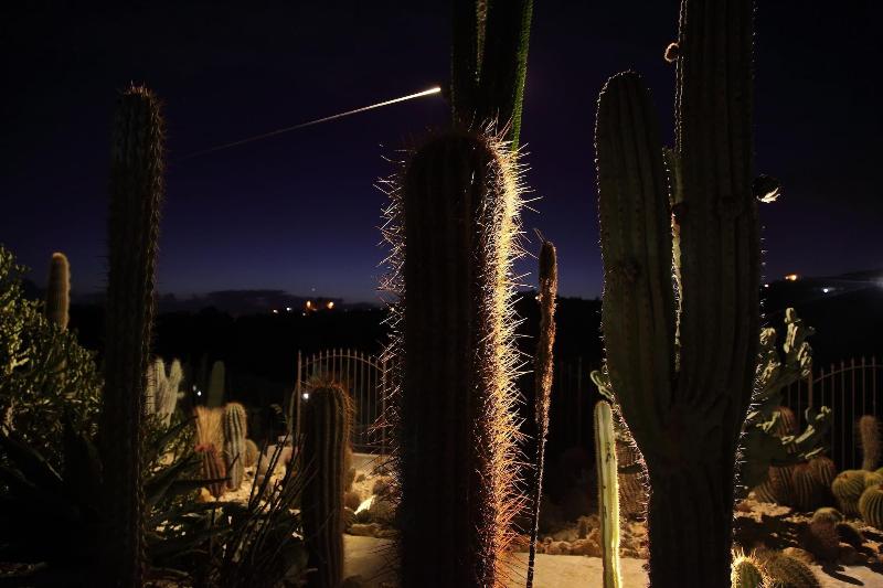 Relais Garden Cactus B&B - Genel