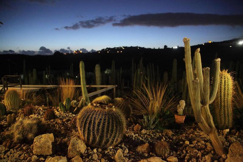 Relais Garden Cactus B&B - Genel