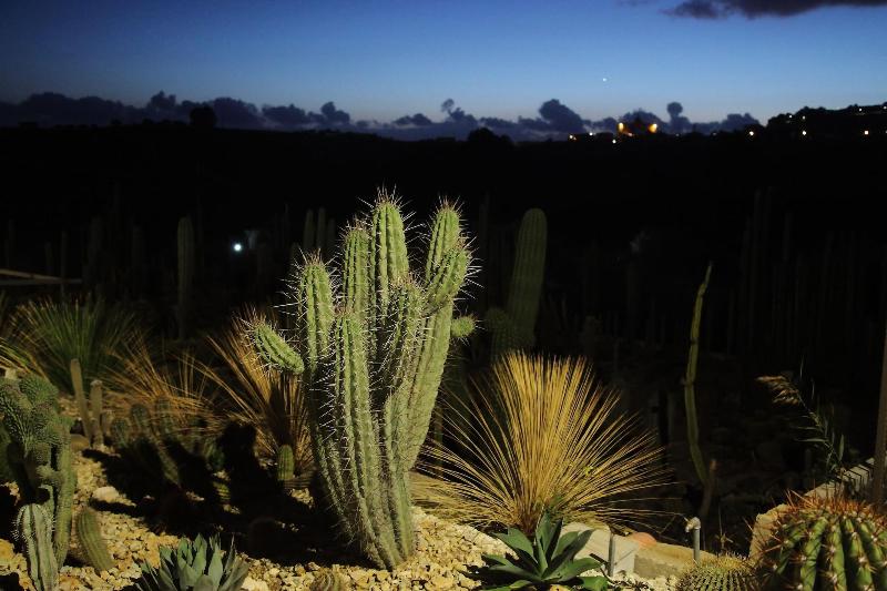 Relais Garden Cactus B&B - Genel