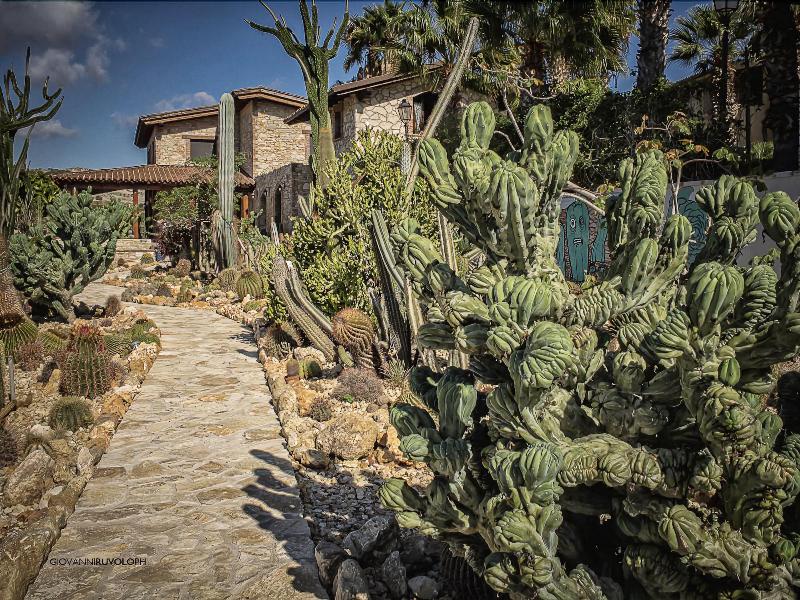 Relais Garden Cactus B&B - Genel