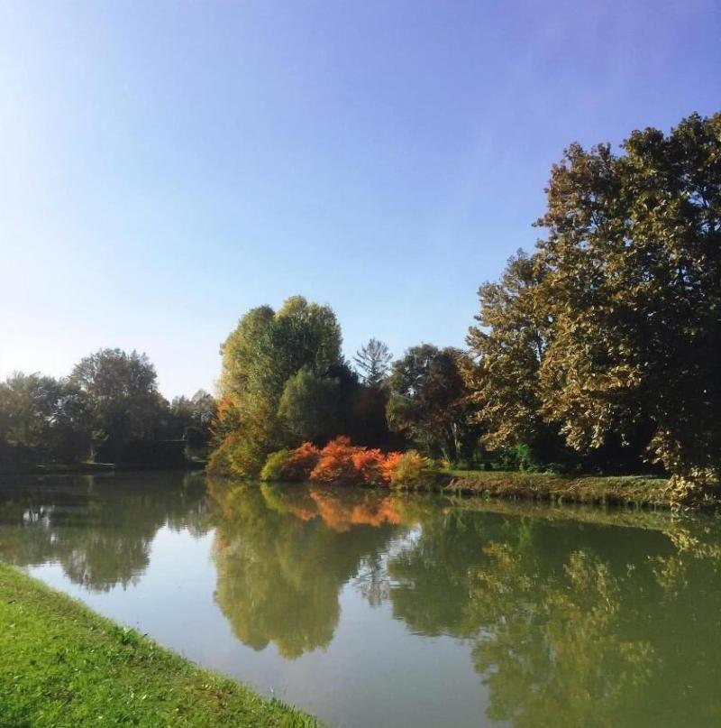Dimora Naviglio B&B - Genel