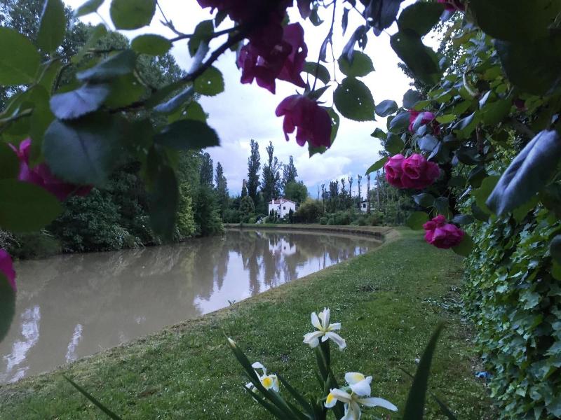 Dimora Naviglio B&B - Genel