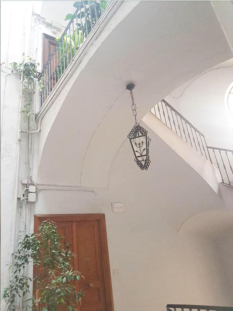 B&B delle Palme - Genel