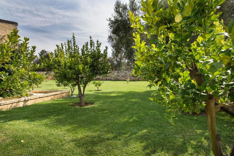 Masseria Saietti - Genel