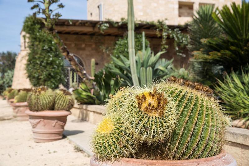 Masseria Saietti - Genel