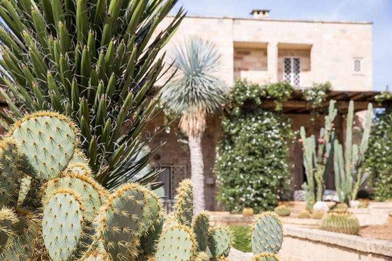 Masseria Saietti - Genel