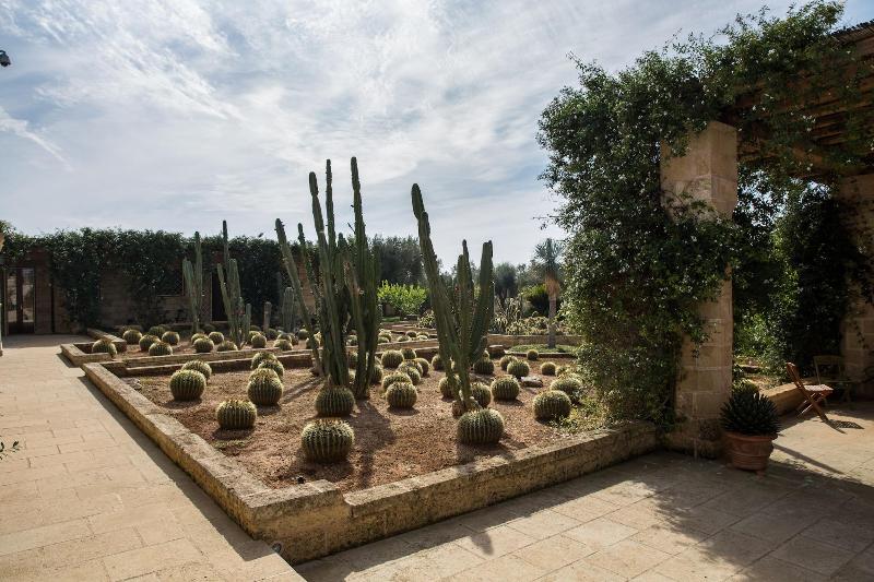 Masseria Saietti - Genel