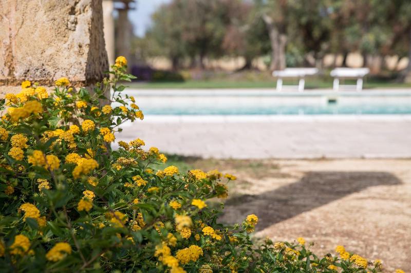 Masseria Saietti - Genel