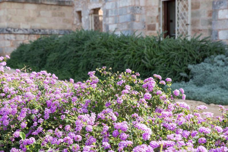 Masseria Saietti - Genel