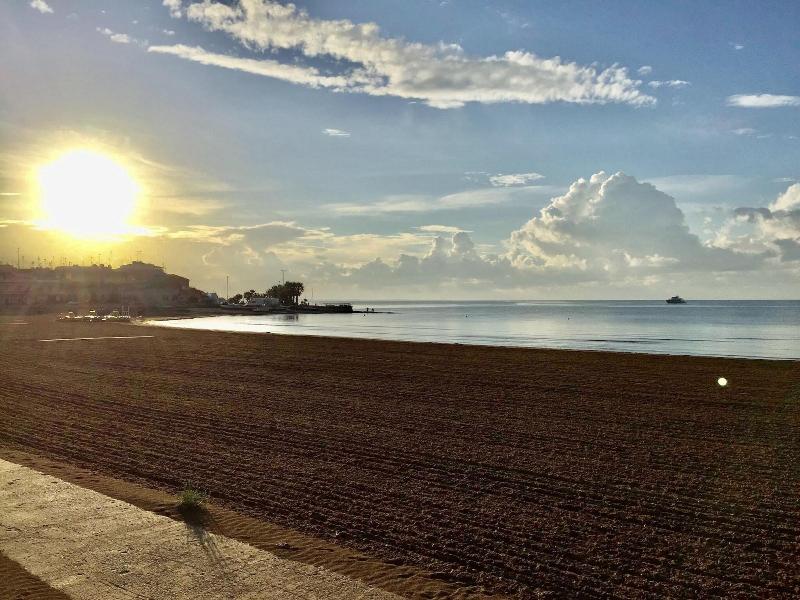 B&B Terrazze Sul Mare - Genel