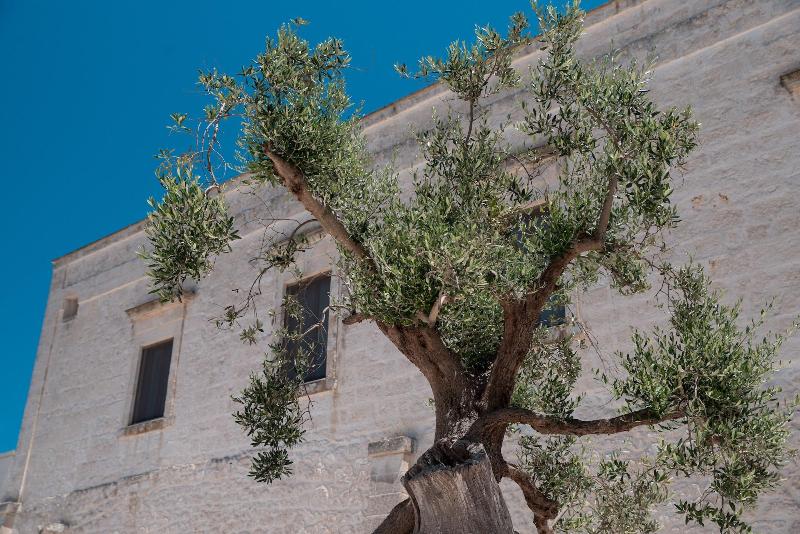 Masseria Donna Nina - Genel