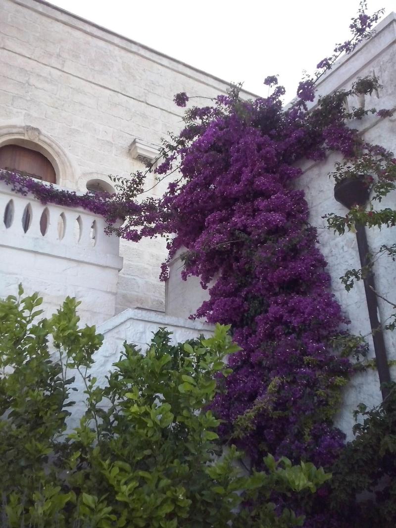 Masseria Donna Nina - Genel