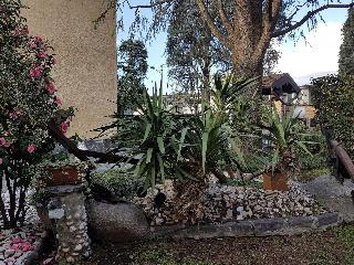 B&B Le Palme fotoÄŸrafÄ±