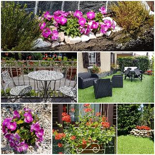 B&B Le Palme fotoÄŸrafÄ±