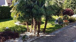 B&B Le Palme fotoÄŸrafÄ±