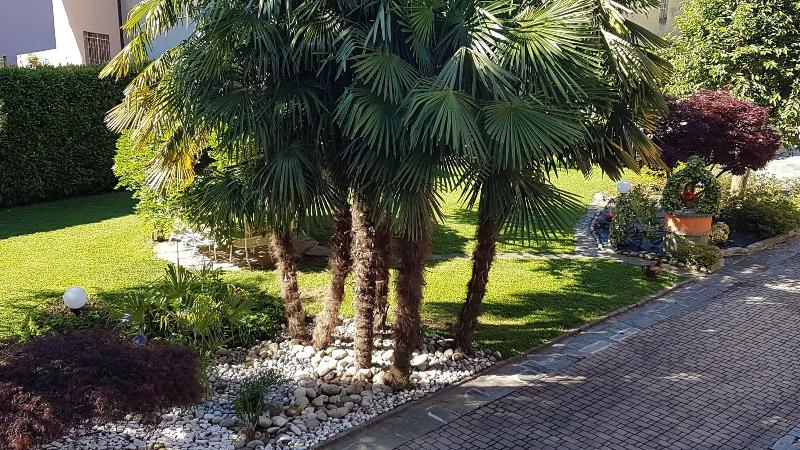 B&B Le Palme - Oda