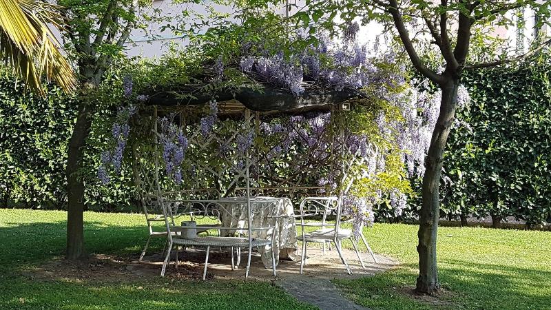 B&B Le Palme - Teras