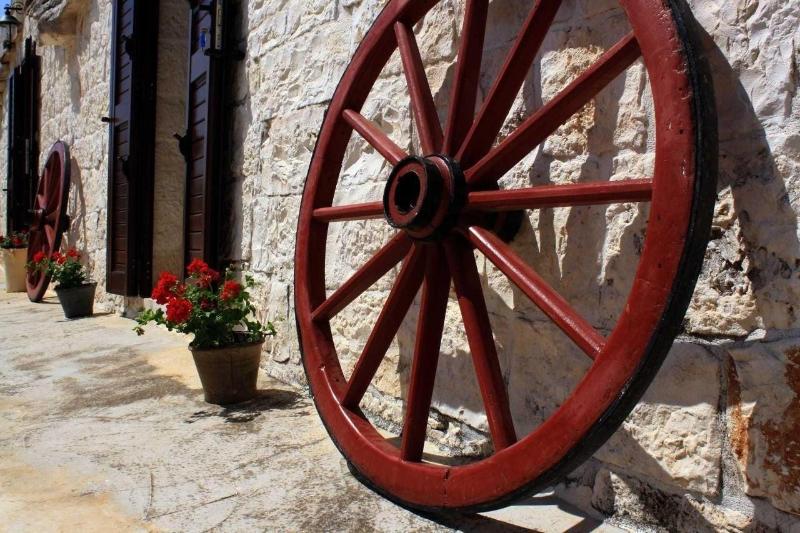 Masseria Peppeturro - Aktivite