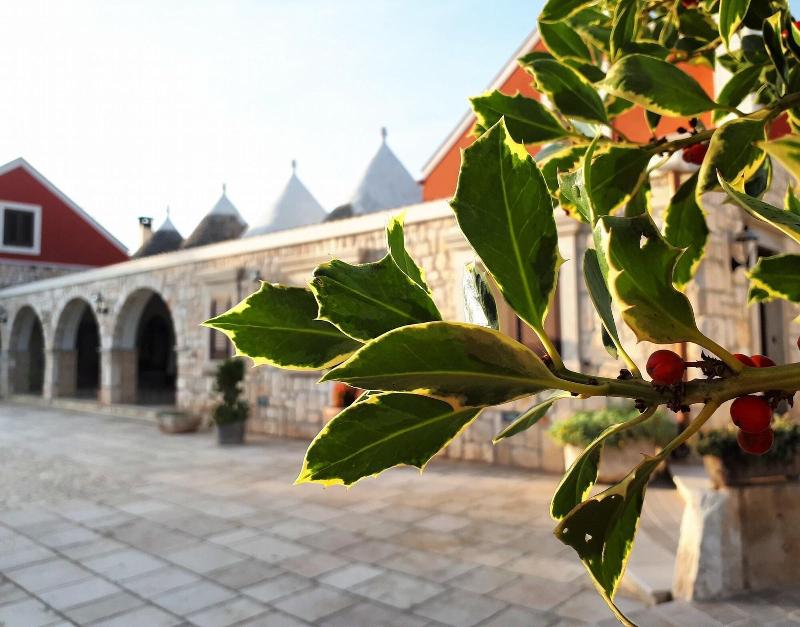 Trulli D'Autore - Genel