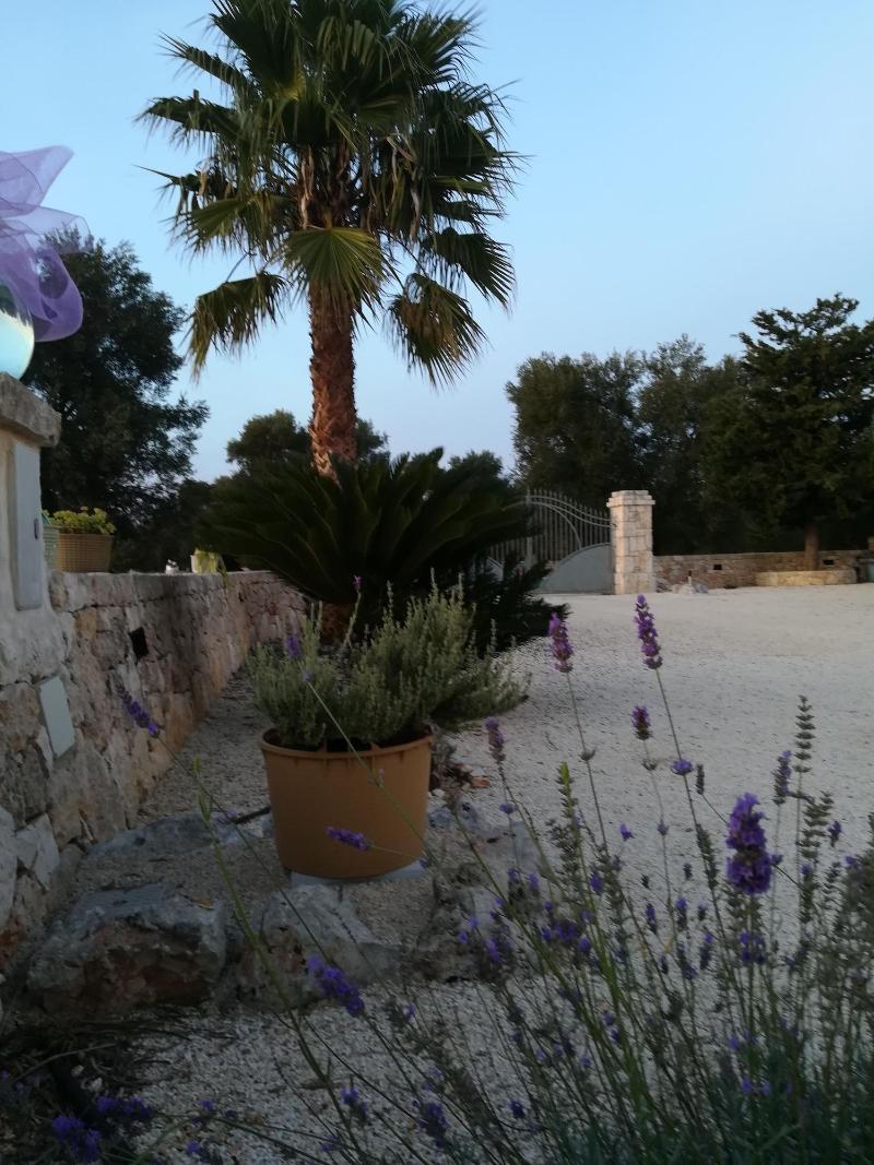 B&B Demetra - Genel
