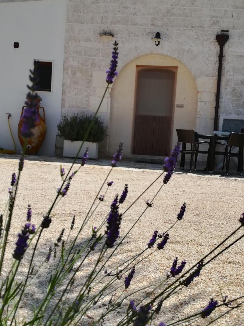 B&B Demetra - Oda