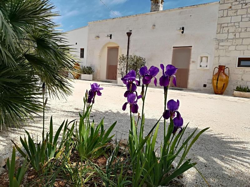 B&B Demetra - Oda