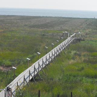 Nordseehostel Am Bahnhof fotoÄŸrafÄ±