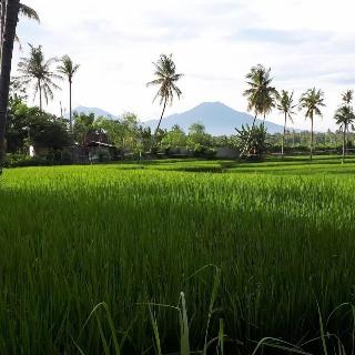 De Lungguh Family Homestay fotoÄŸrafÄ±