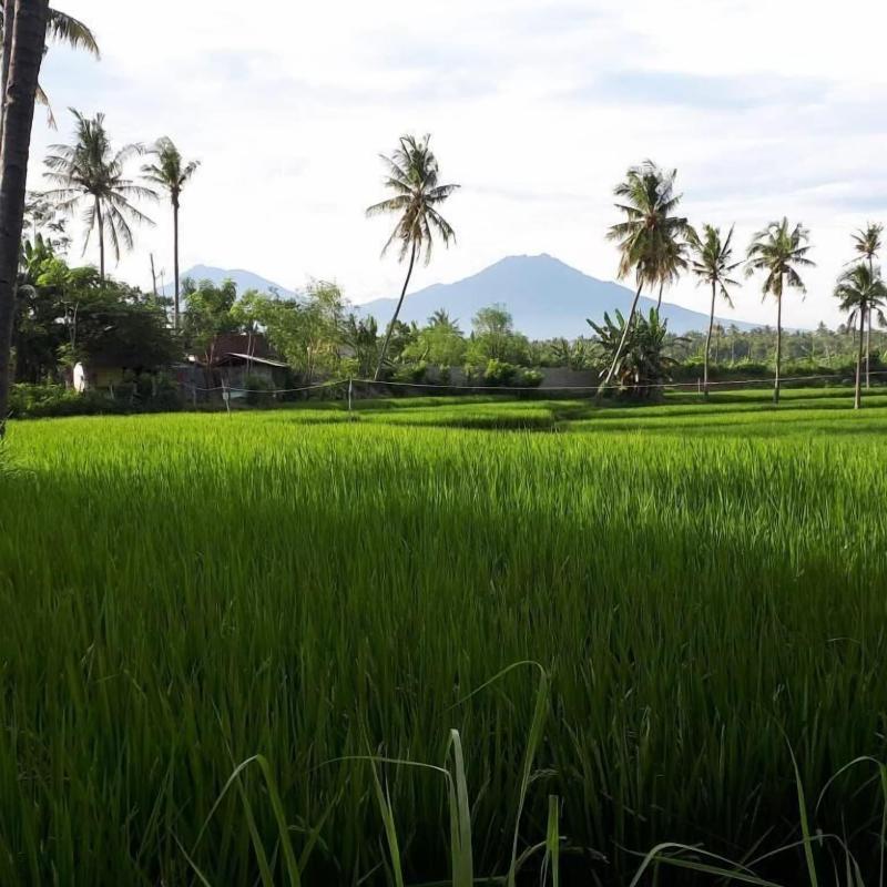 De Lungguh Family Homestay - Genel