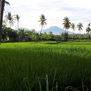 De Lungguh Family Homestay fotoÄŸrafÄ±