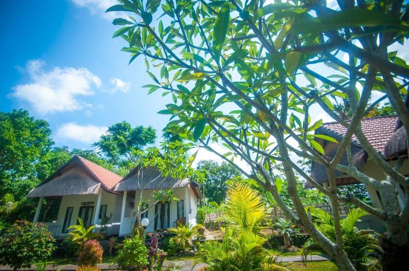 Japa Bungalow - Genel