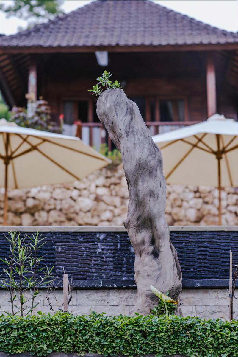 Sunday Huts Lembongan - Genel
