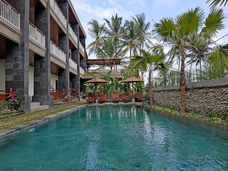 Paon Desa Ubud Hotel - Aktivite
