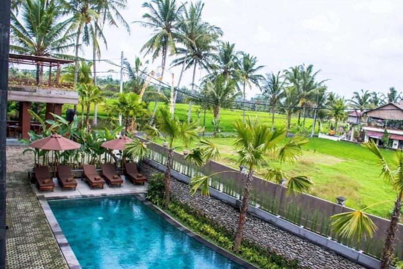 Paon Desa Ubud Hotel - Aktivite