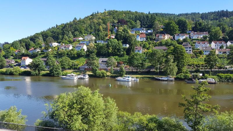 Hotel Neckarlux - Genel