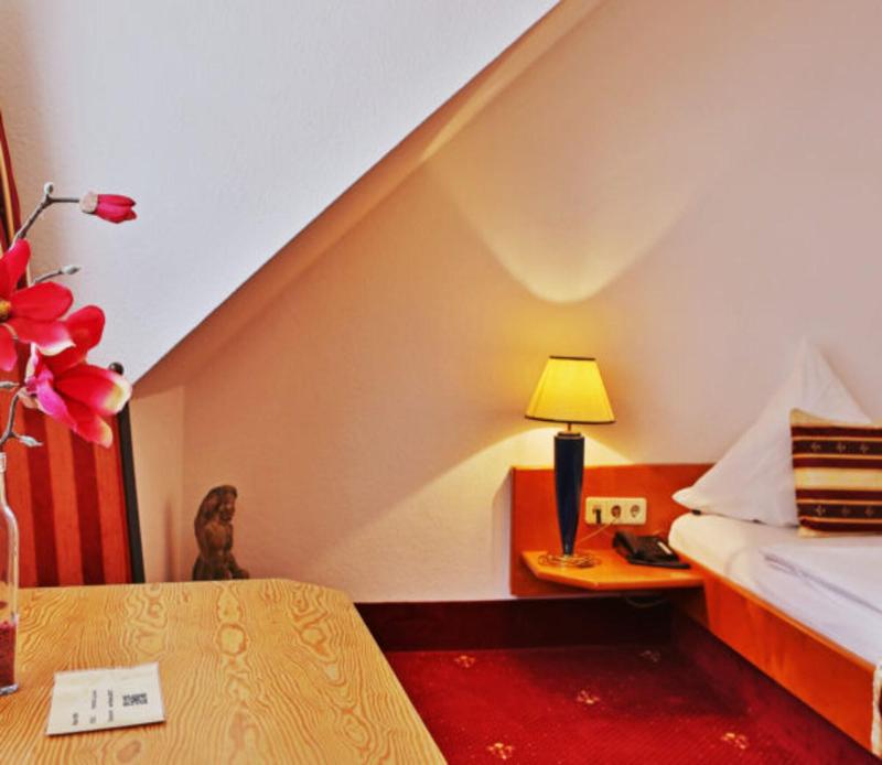 Hotel Neckarlux - Oda