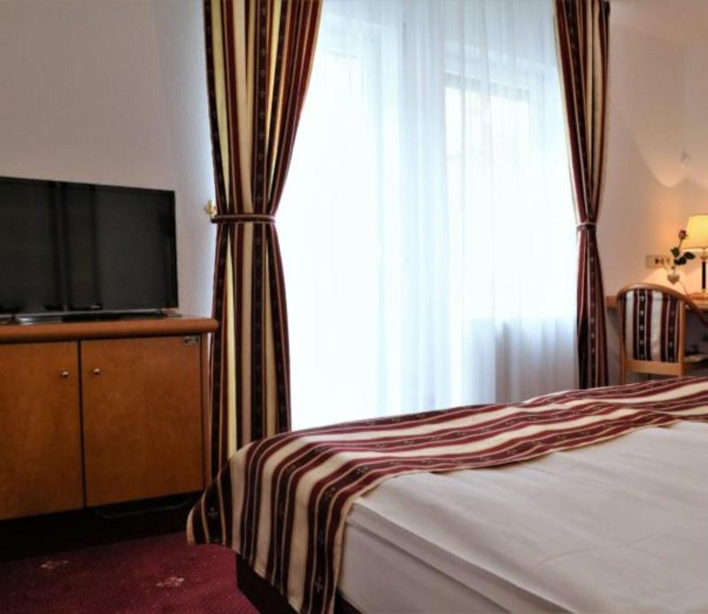 Hotel Neckarlux - Oda