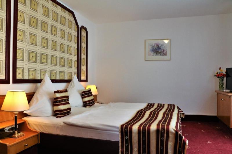 Hotel Neckarlux - Oda